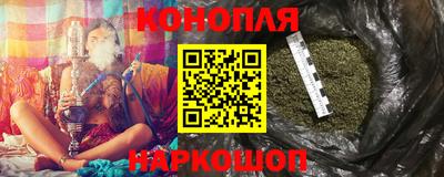 крисы Кингисепп