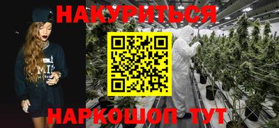 крисы Кингисепп