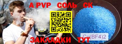 крисы Кингисепп