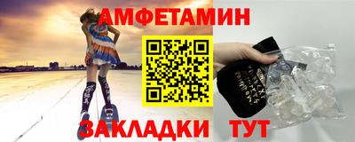 крисы Кингисепп