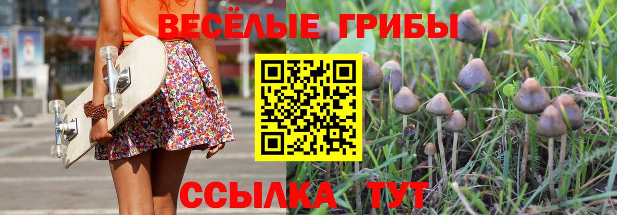 Галлюциногенные грибы мухоморы Химки
