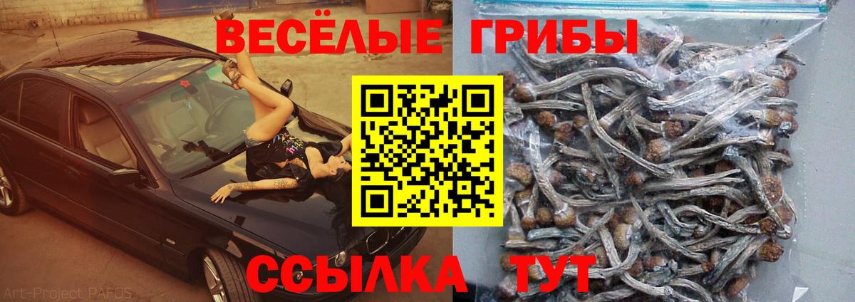 Псилоцибиновые грибы прущие грибы  Вход с VPN  Химки 