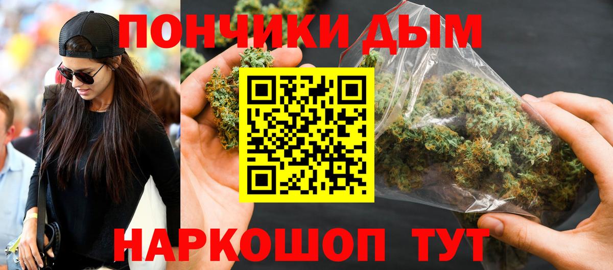 Шишки марихуана конопля Химки
